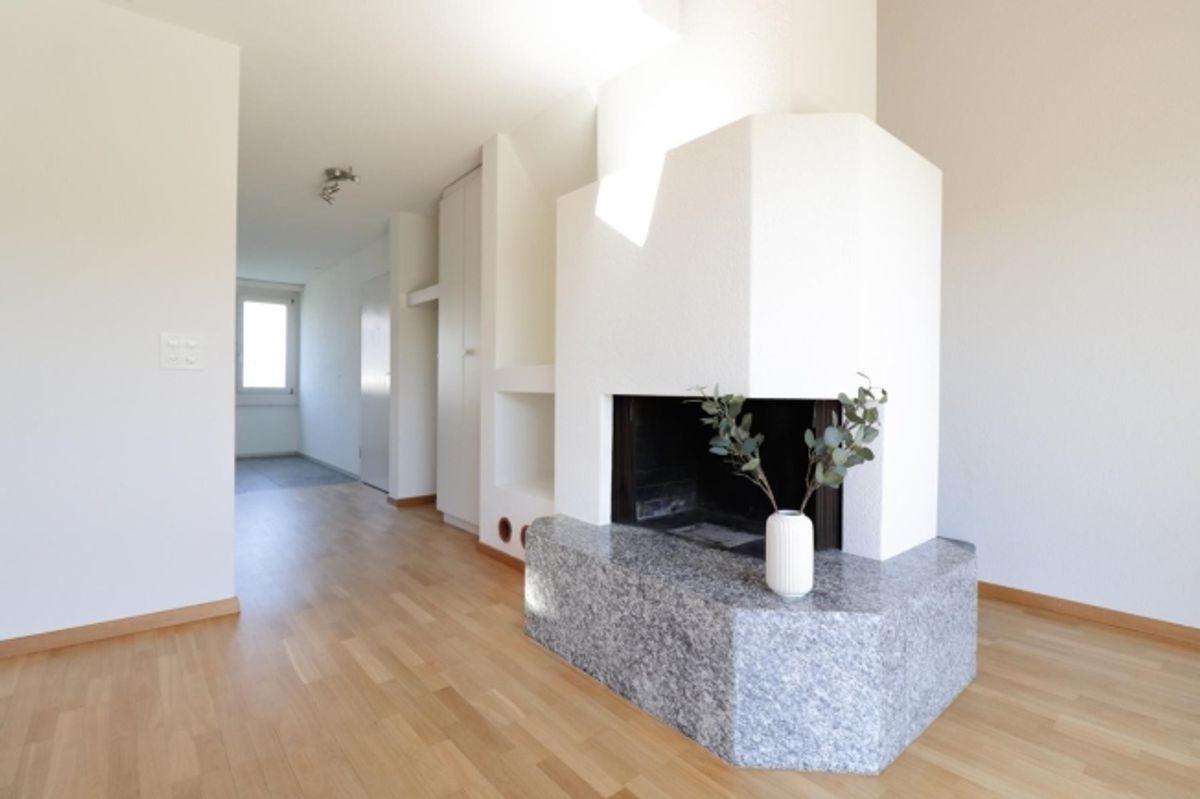Attraktive 2.5 Zimmer Attika-Wohnung - 4