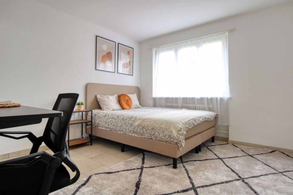 Spacious Coliving Apartment with Large Terrace in Wallisellen - 0