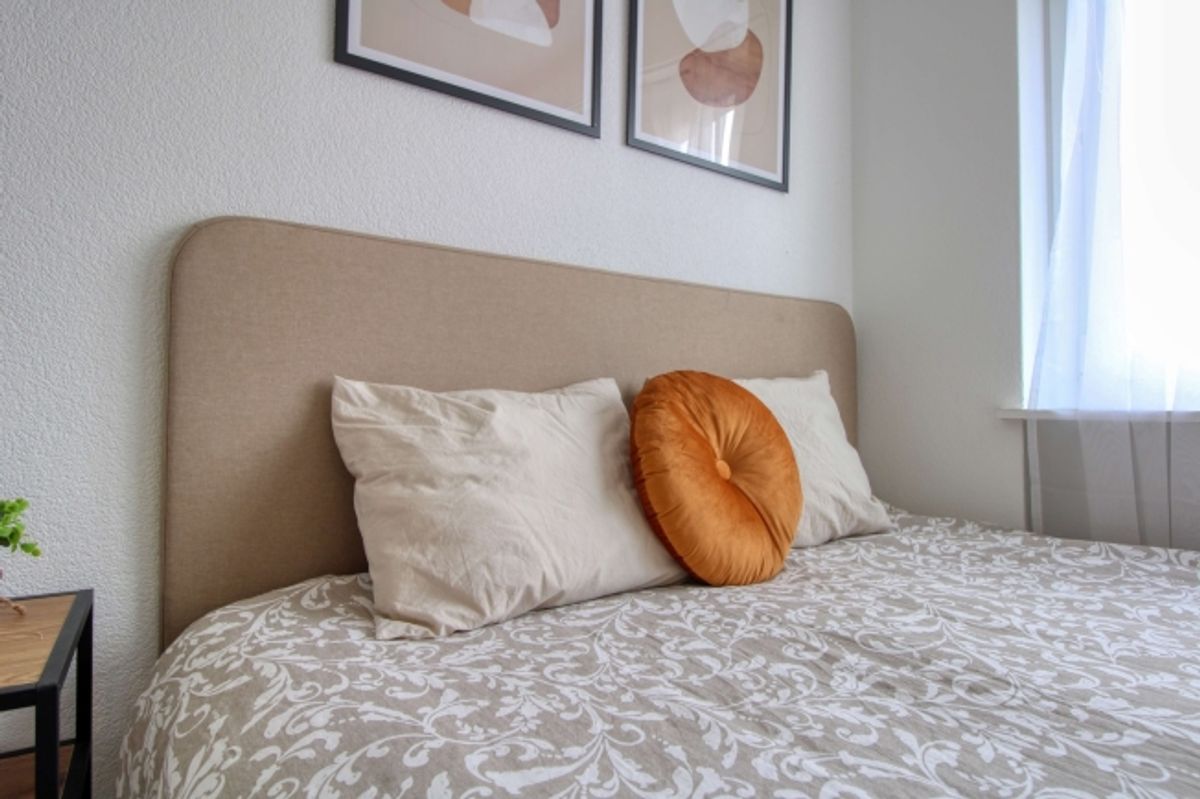 Spacious Coliving Apartment with Large Terrace in Wallisellen - 7