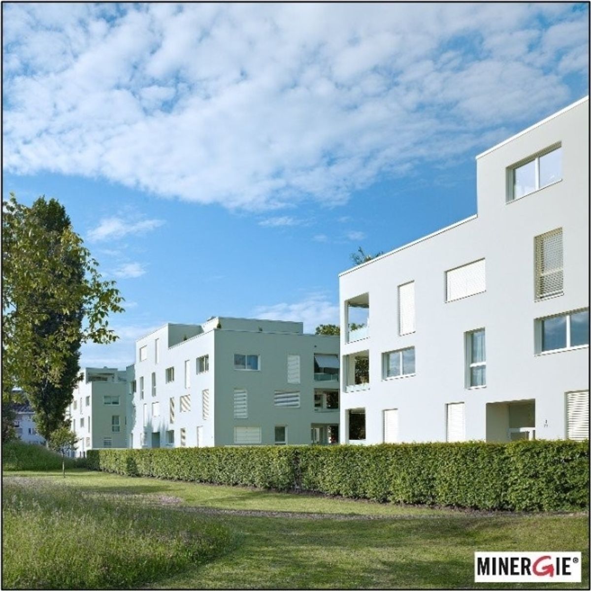 Modern, gemütlich, Allschwil! - 0
