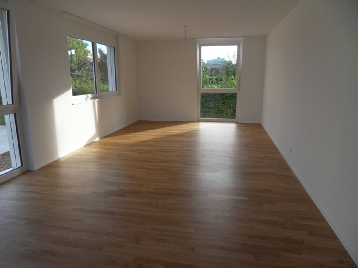 Modern, gemütlich, Allschwil! - 2