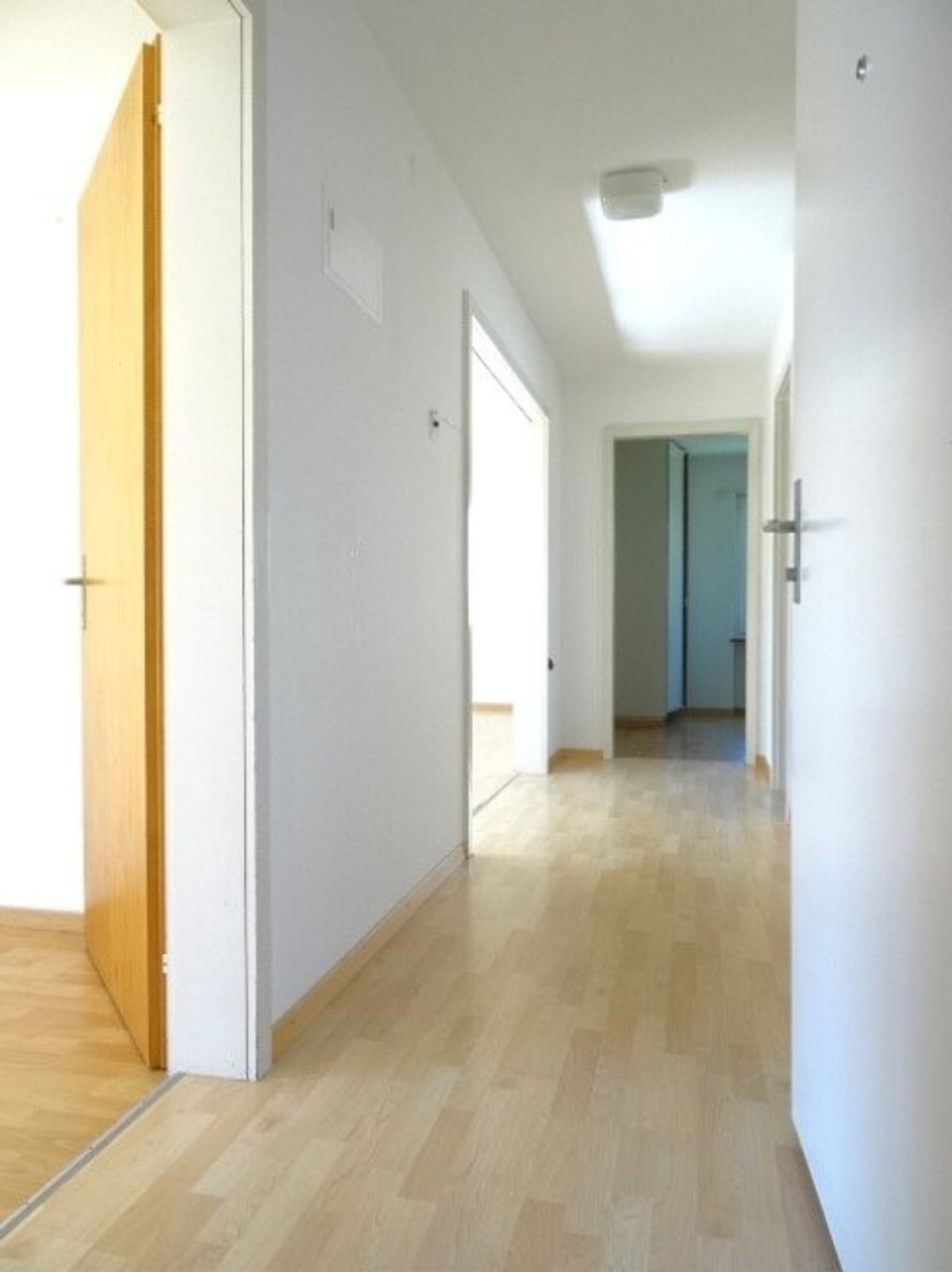 Ruhige und sonnige 3-ZW à 83 m² im EG - 7