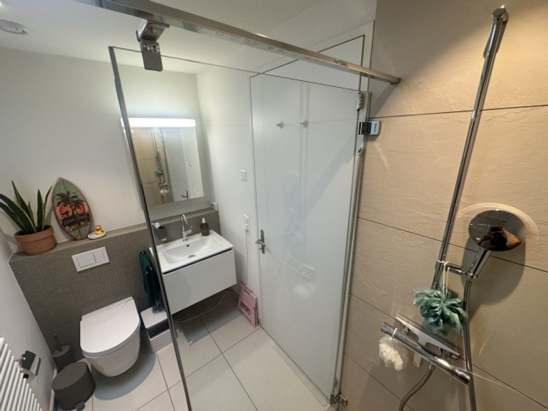 3½ ZIMMER-ATTIKAWOHNUNG IN ZÜRICH - KREIS 10 HÖNGG, MÖBLIERT, TEMPORÄR - 8