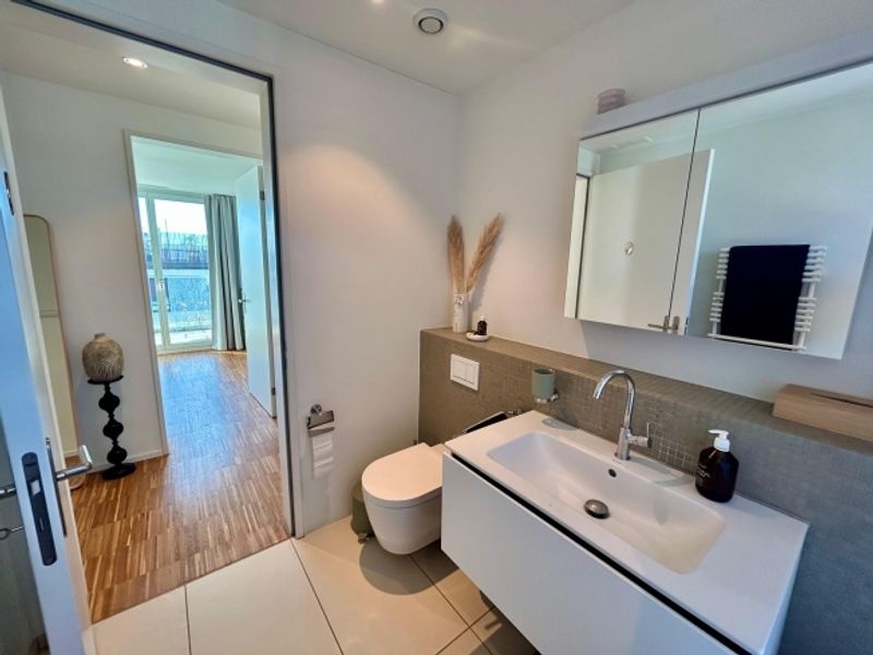 3½ ZIMMER-ATTIKAWOHNUNG IN ZÜRICH - KREIS 10 HÖNGG, MÖBLIERT, TEMPORÄR - 9