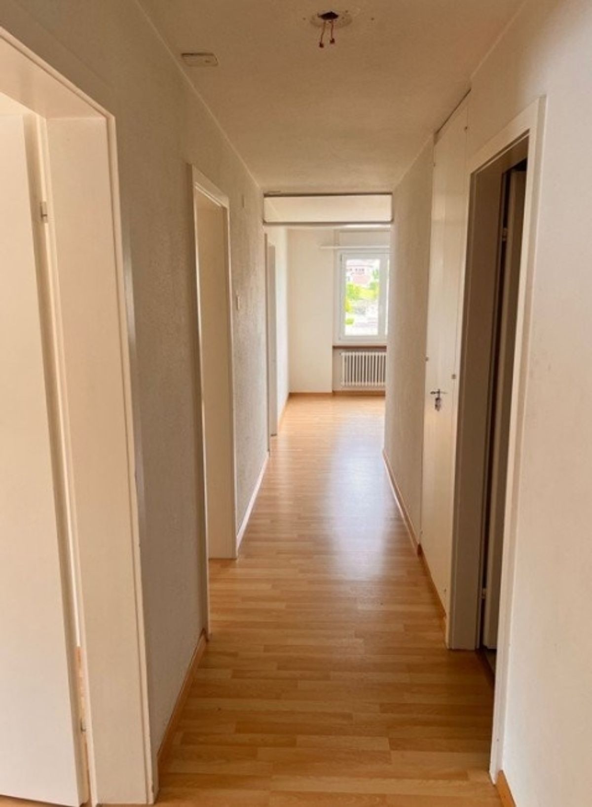 neues Zuhause gesucht - 1