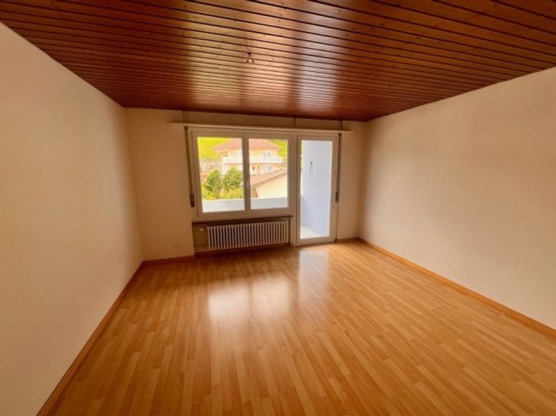 neues Zuhause gesucht - 3