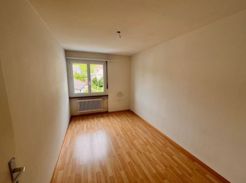 neues Zuhause gesucht - 5