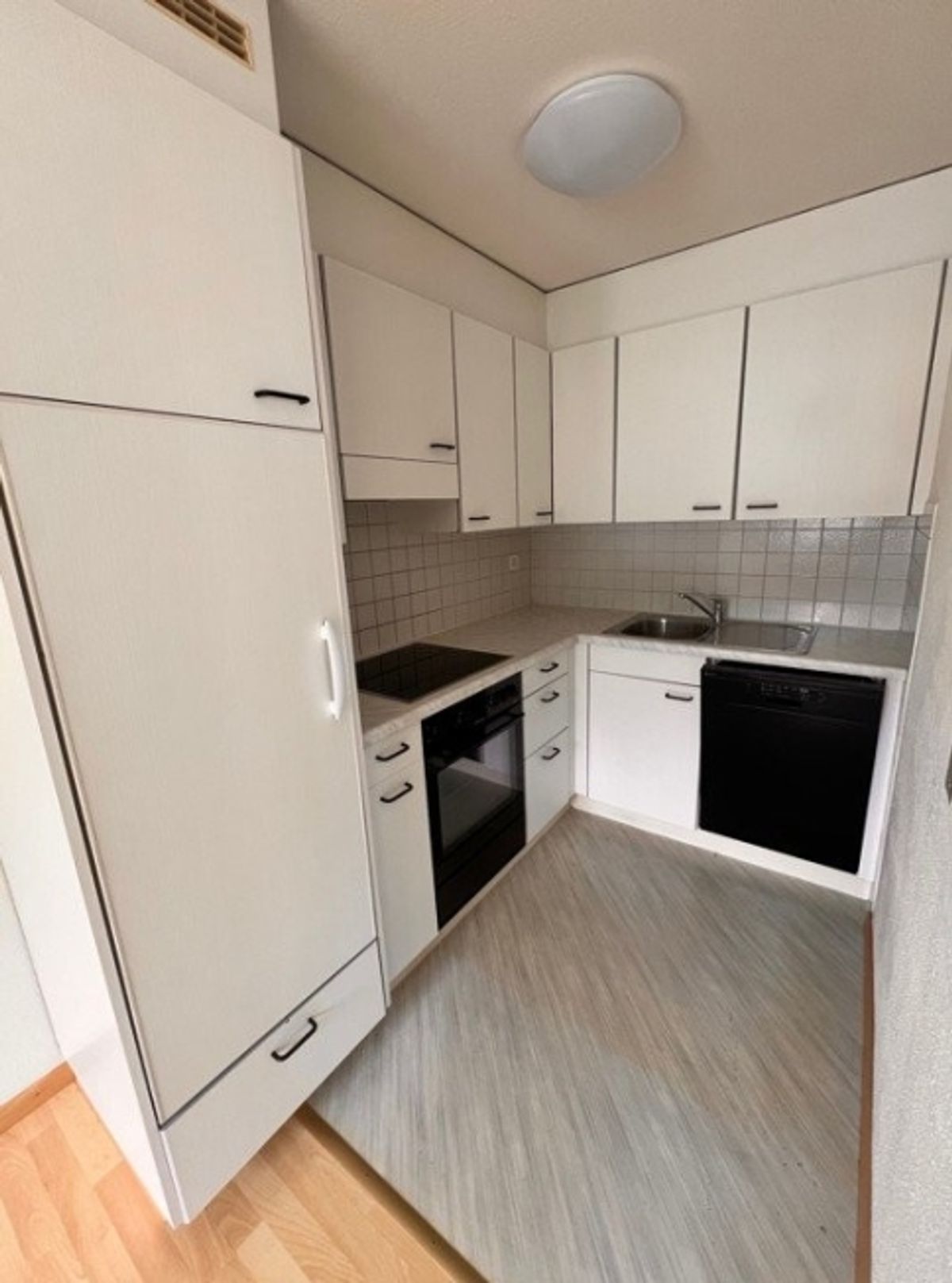 neues Zuhause gesucht - 5