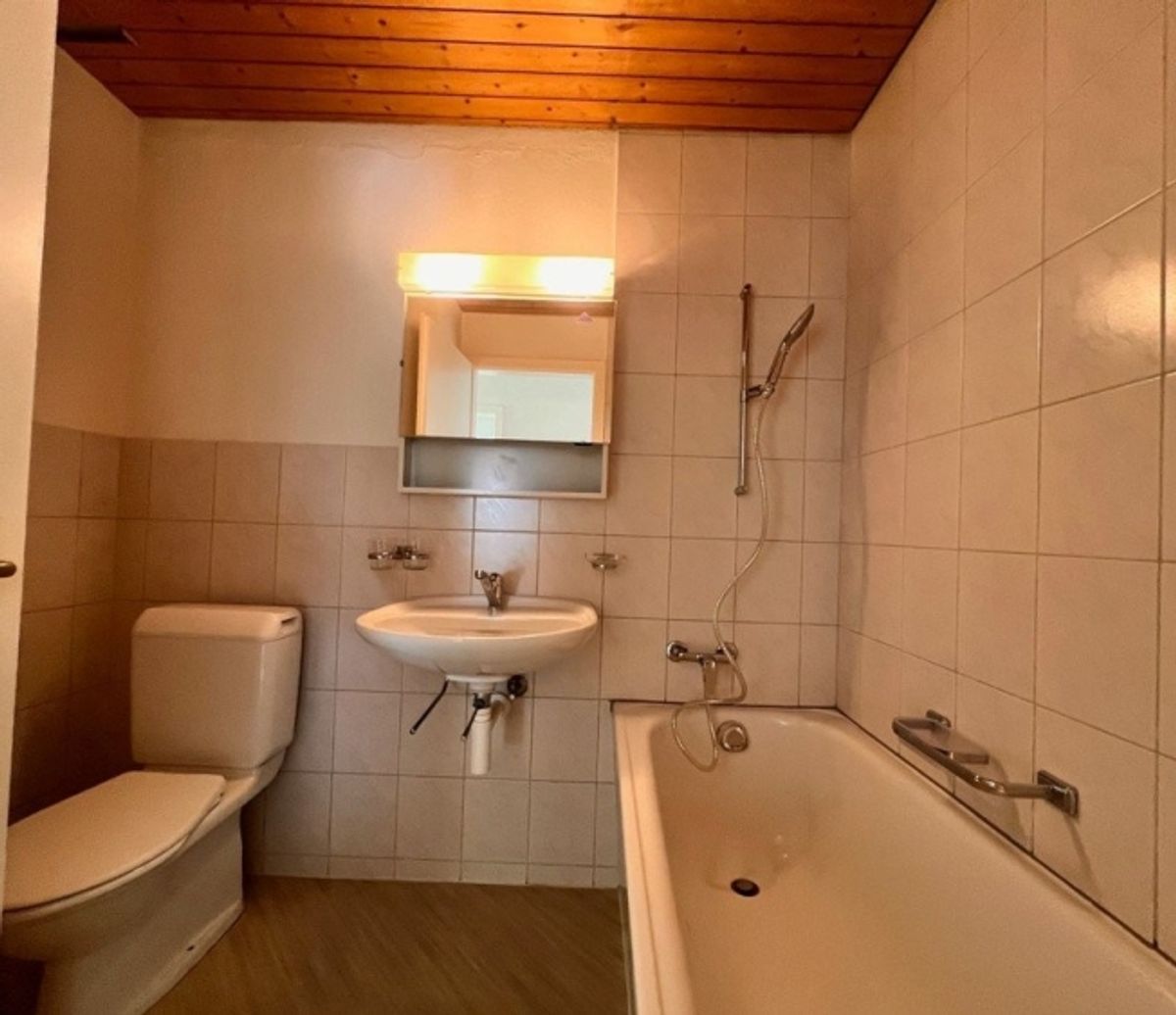 neues Zuhause gesucht - 7