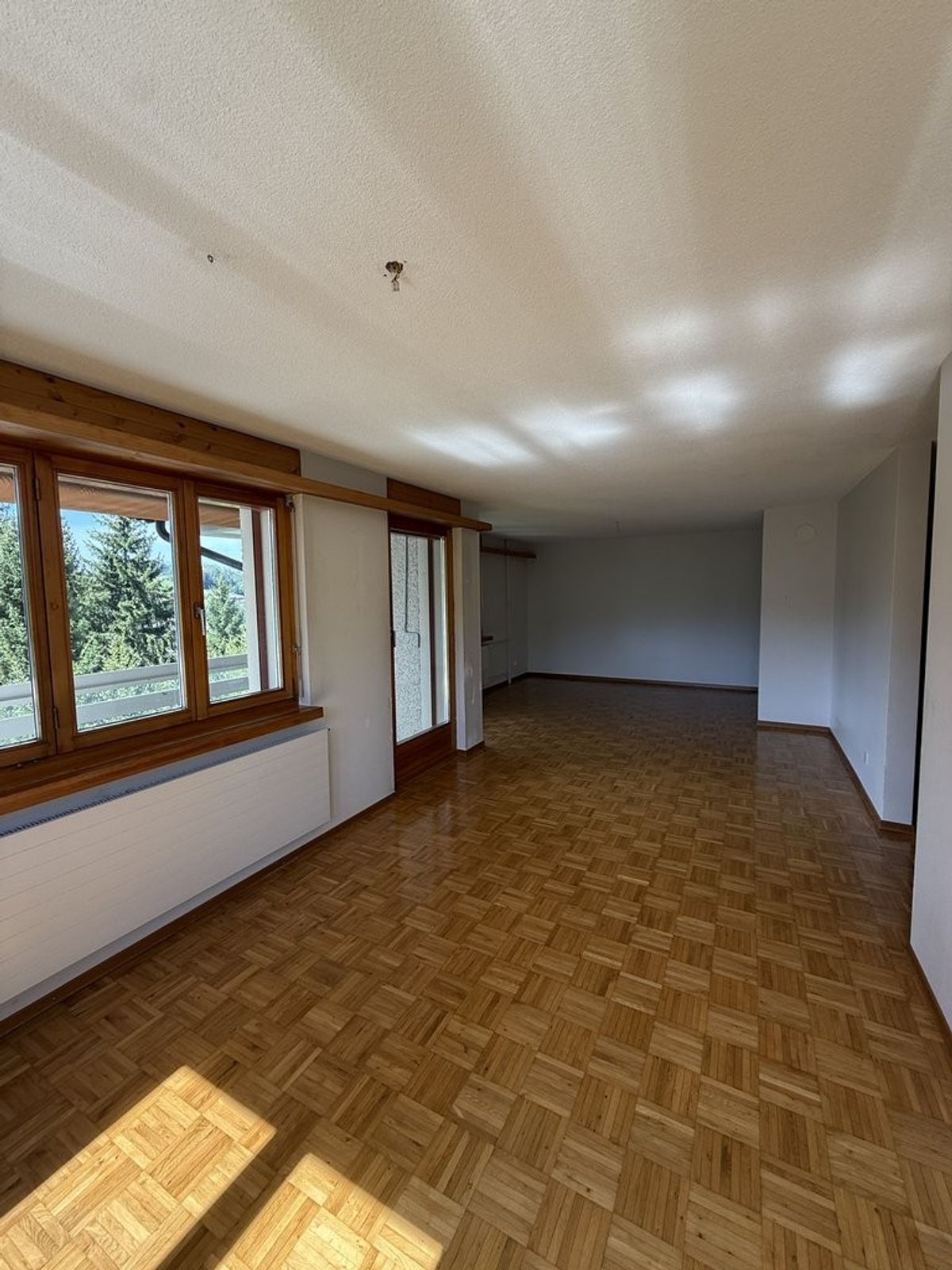 Aussicht, Freiraum, Ankommen - Ihre Top-Adresse in Herisau! - 3