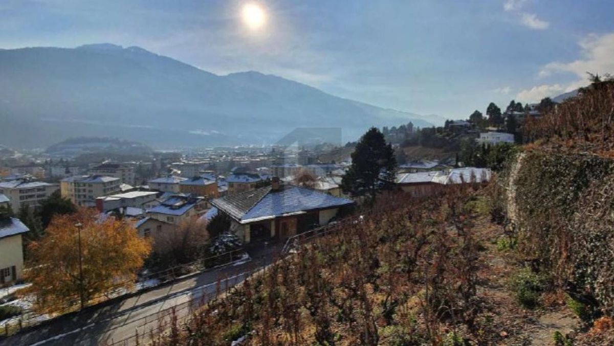 EXKLUSIVE LAGE MIT UNVERBAUBARER AUSSICHT - 4