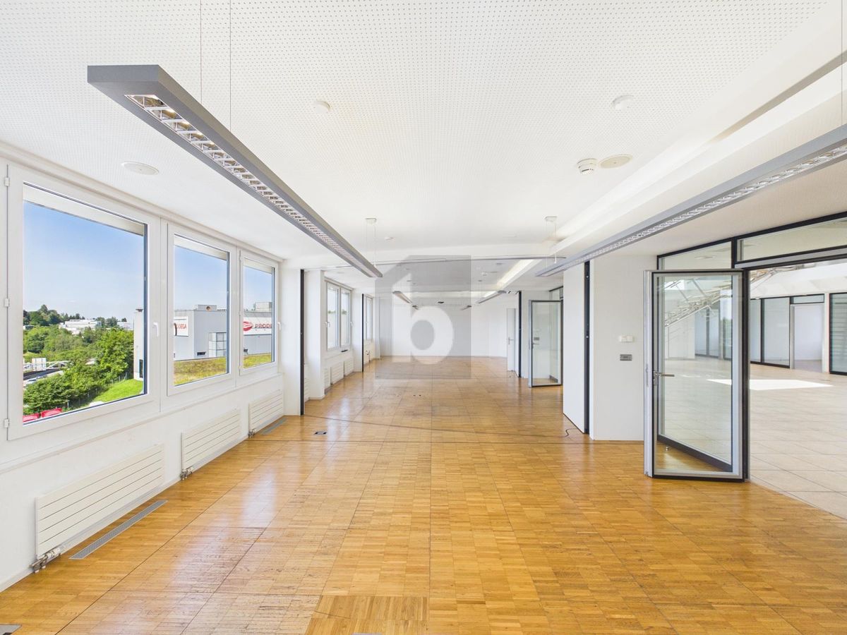 RIESIGE PRODUKTIONSHALLE IDEAL FÜR IHR BUSINESS - 2