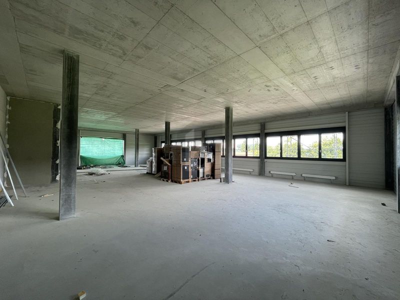NEUBAUPROJEKT GROSSRAUMBÜRO - 4