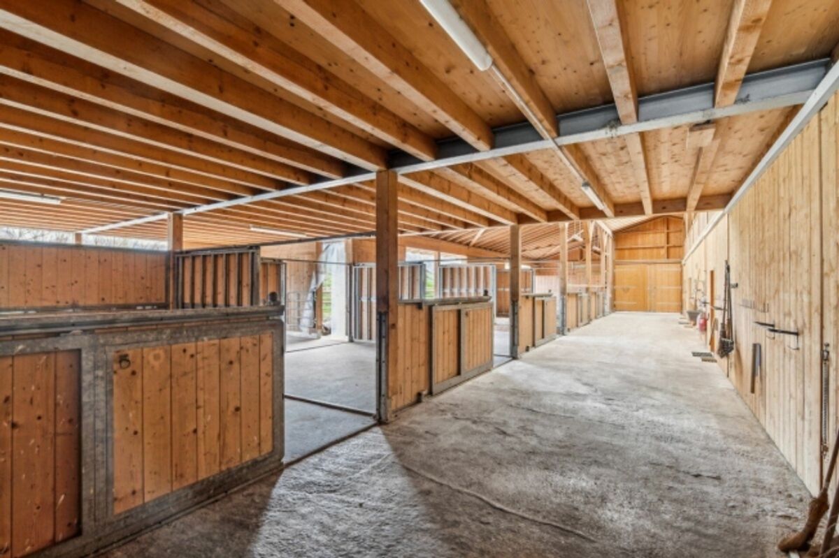 Reitsportimmobilie mit Reithalle und Wohnhaus - 1
