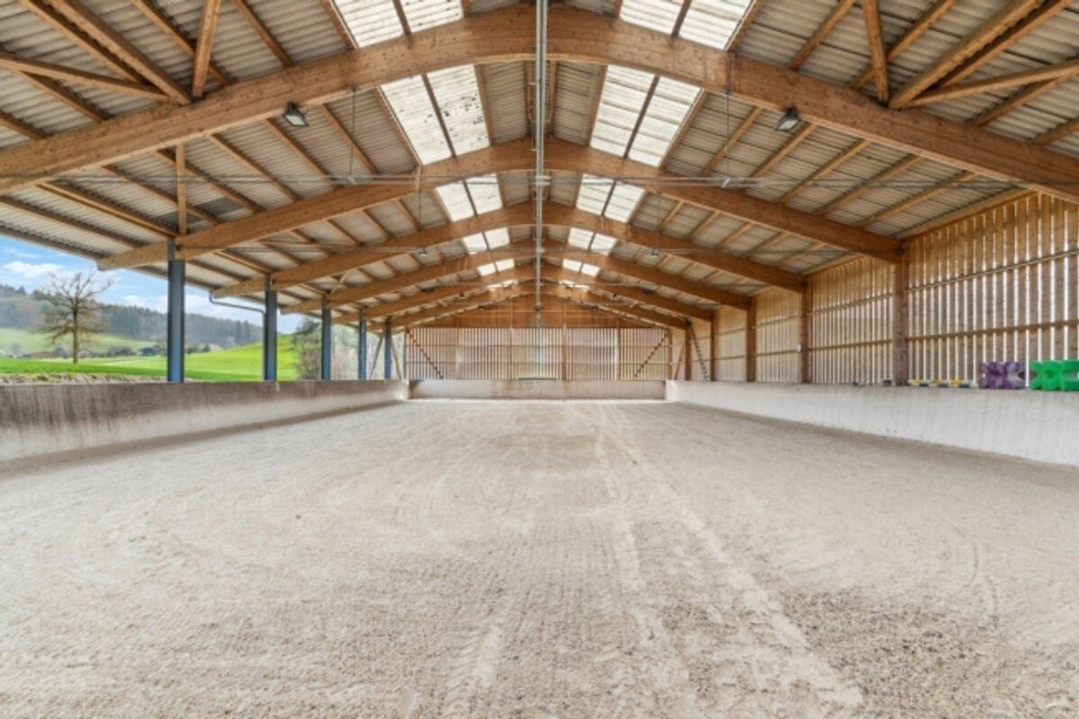 Reitsportimmobilie mit Reithalle und Wohnhaus - 2