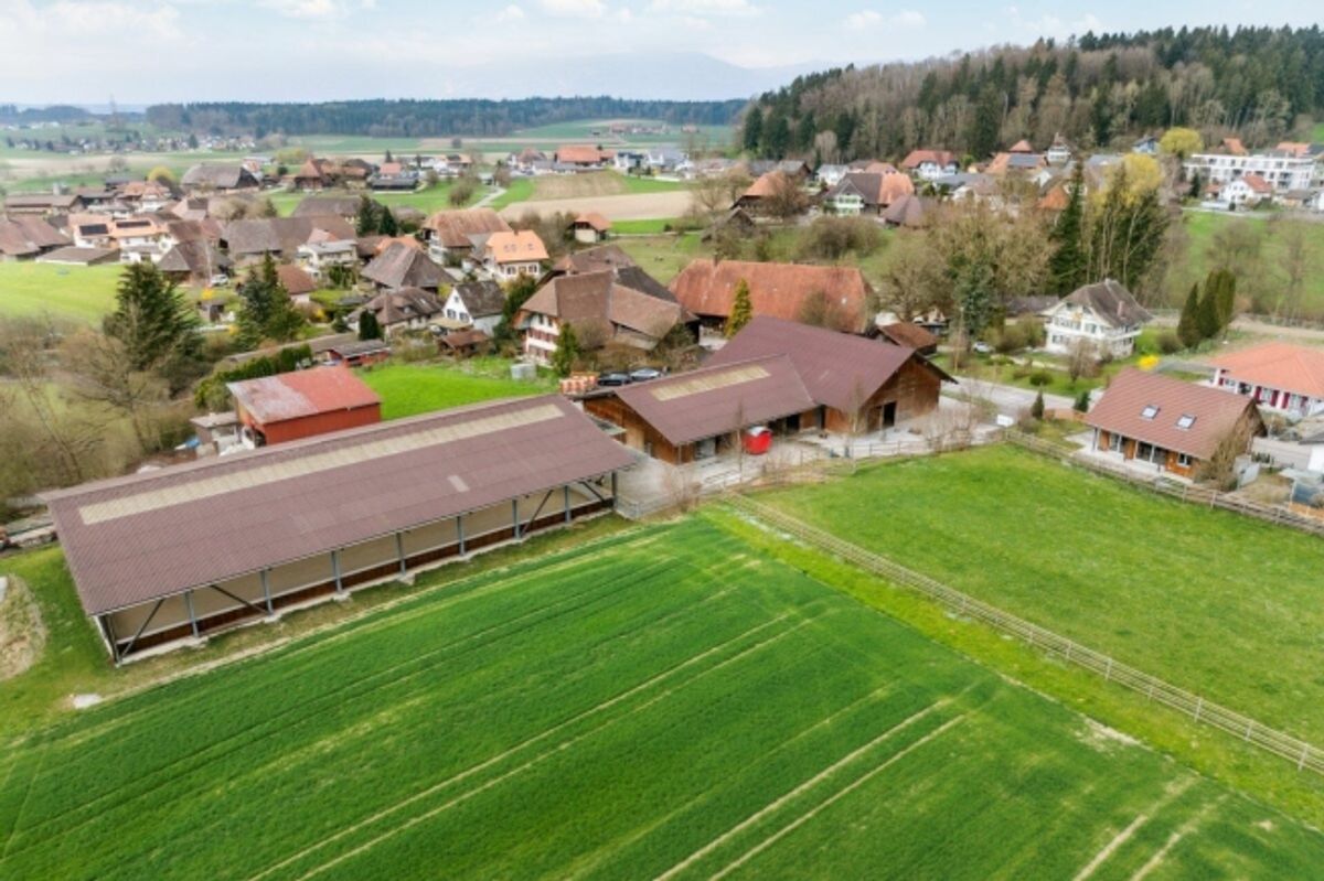 Reitsportimmobilie mit Reithalle und Wohnhaus - 3