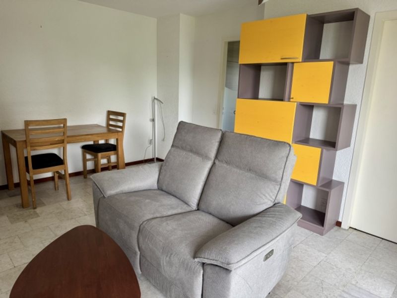 Prächtige möblierte 2-Zimmer-Wohnung mit einer Terrasse von 57 m², zwei Minuten vom See/St-Sulpice VD entfernt - 7