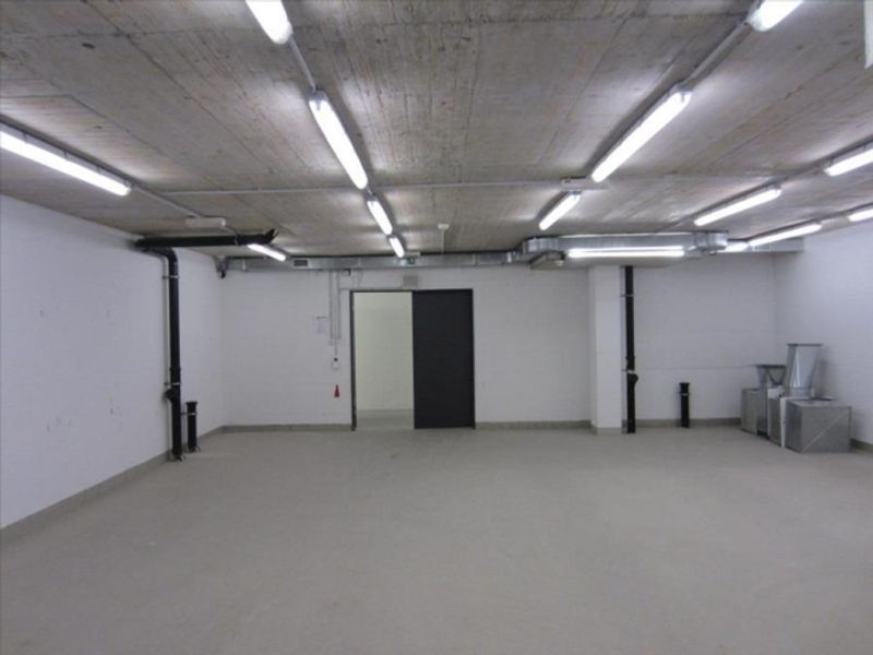 Lagerraum 50m2 in Winterthur zu vermieten - 2