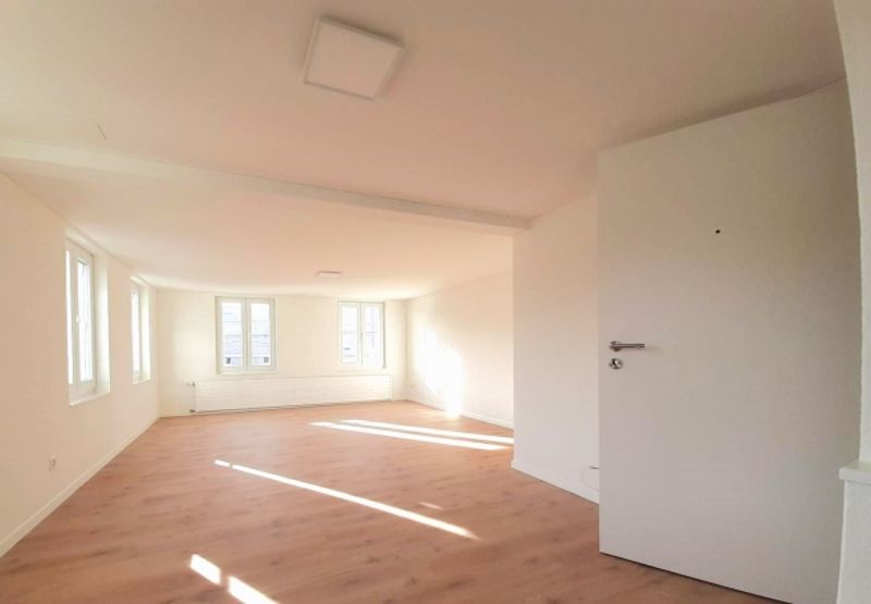 Grosszügige, moderne Wohnung - 1