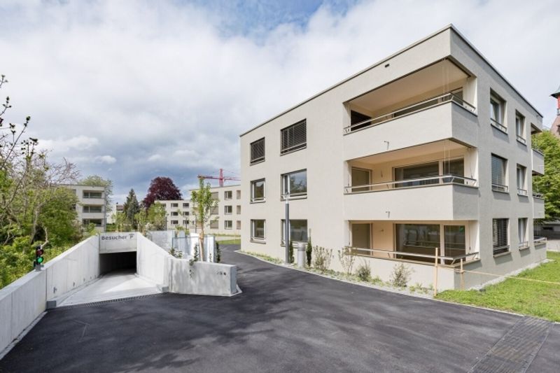 Gemütliches Wohnen in Boniswil - 1