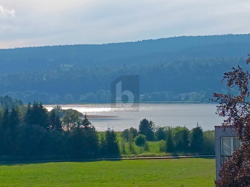 LUMINEUX, SPACIEUX, PROCHE DU LAC ! - 2
