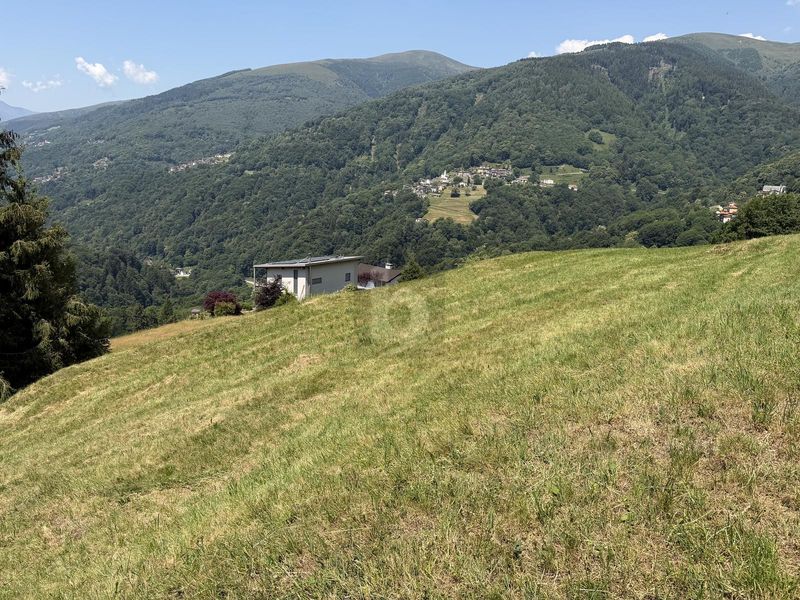 ZONA SOLEGGIATA - 3