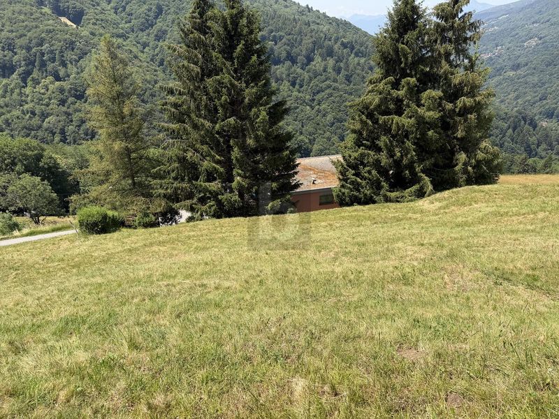 ZONA SOLEGGIATA - 4