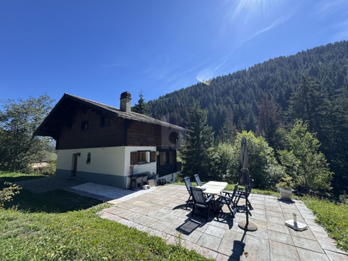 COEUR DES PORTES DU SOLEIL, MAGNIFIQUE AVEC SAUNA - 0