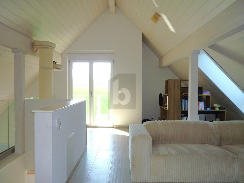 MODERNE, SPACIEUX, ET EN BORDURE DE NATURE ! - 5
