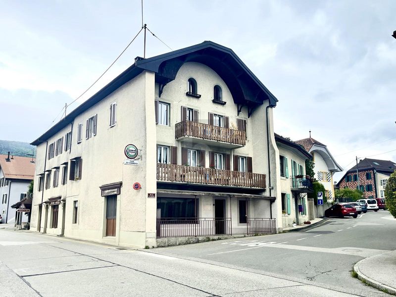 BELLE OPPORTUNITÉ POUR RÉNOVATION OU PROMOTION - 1