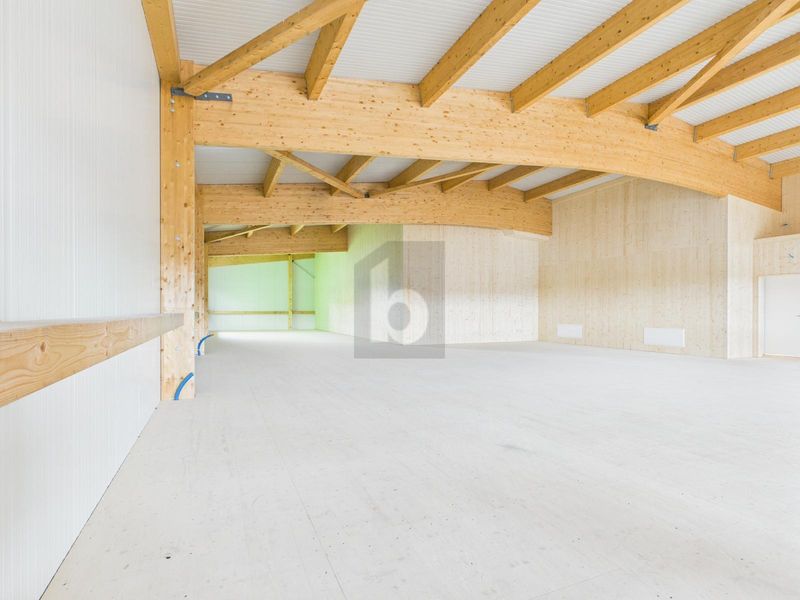 NEUBAU FLEXIBLER GEWERBERAUM - 2