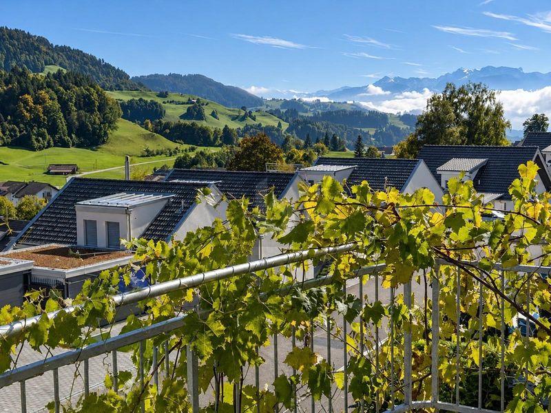 PANORAMASICHT MIT VIEL PLATZ UND FLEXIBLER NUTZUNG - 2