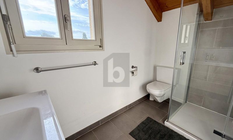 SONNENTERRASSE MIT WEITSICHT - NAHE DER AARE - 5