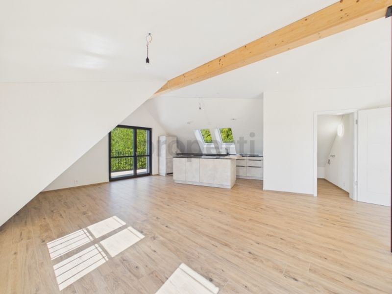 Attikawohnung direkt am Waldrand mit Zürichseeblick, Minergie-Standard und Free-Cooling - 1