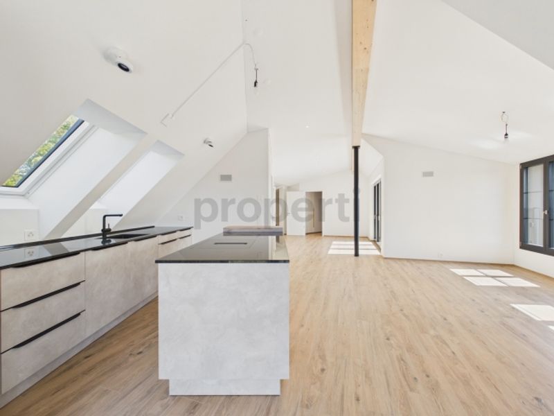 Attikawohnung direkt am Waldrand mit Zürichseeblick, Minergie-Standard und Free-Cooling - 6