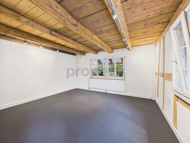Renoviertes 4-Zimmer-Reiheneckhaus mit grosszügiger Terrasse - 7