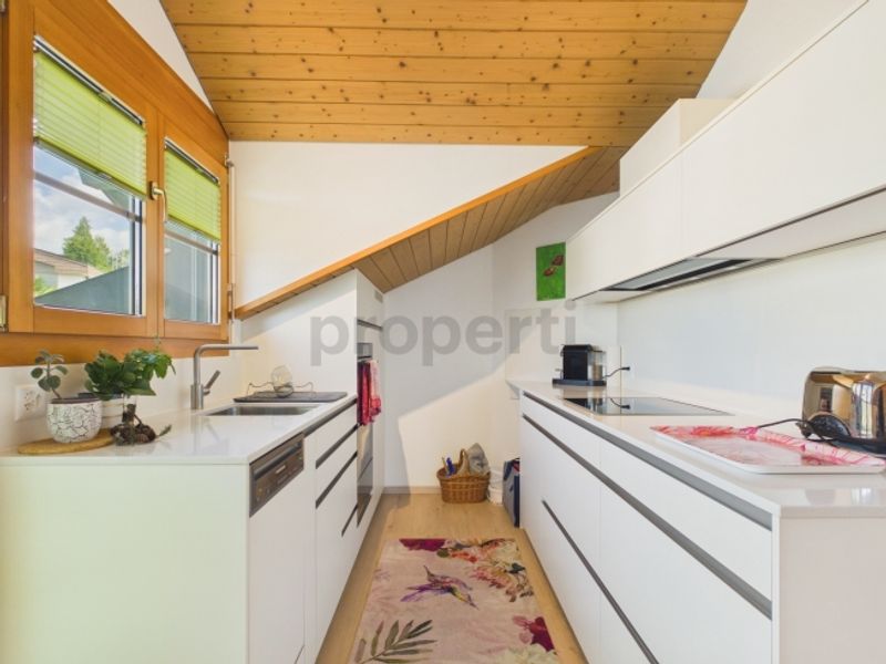 Balkon mit Sempacherseeblick, frisch renoviert und eigener Waschturm - 4
