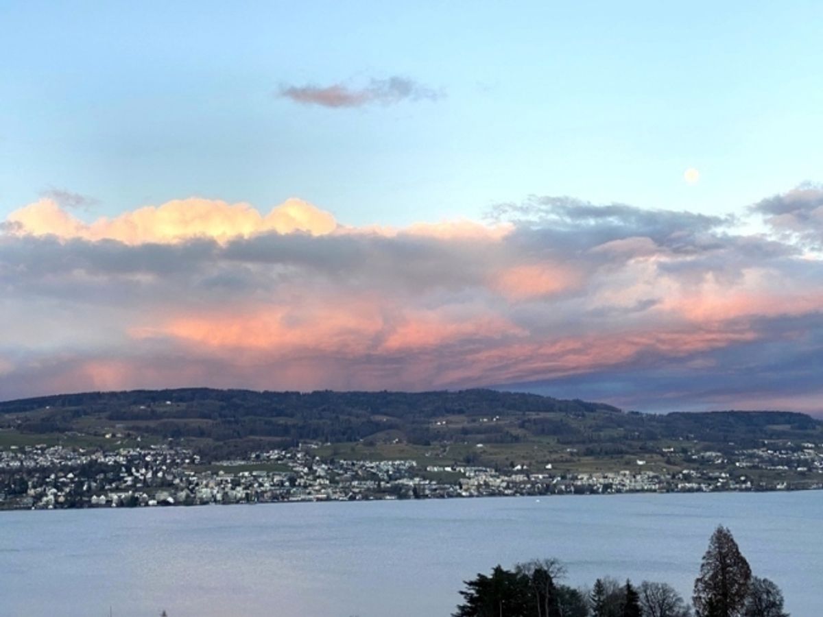 3½ ZIMMER-ATTIKAWOHNUNG IN HORGEN (ZH), MÖBLIERT - 0