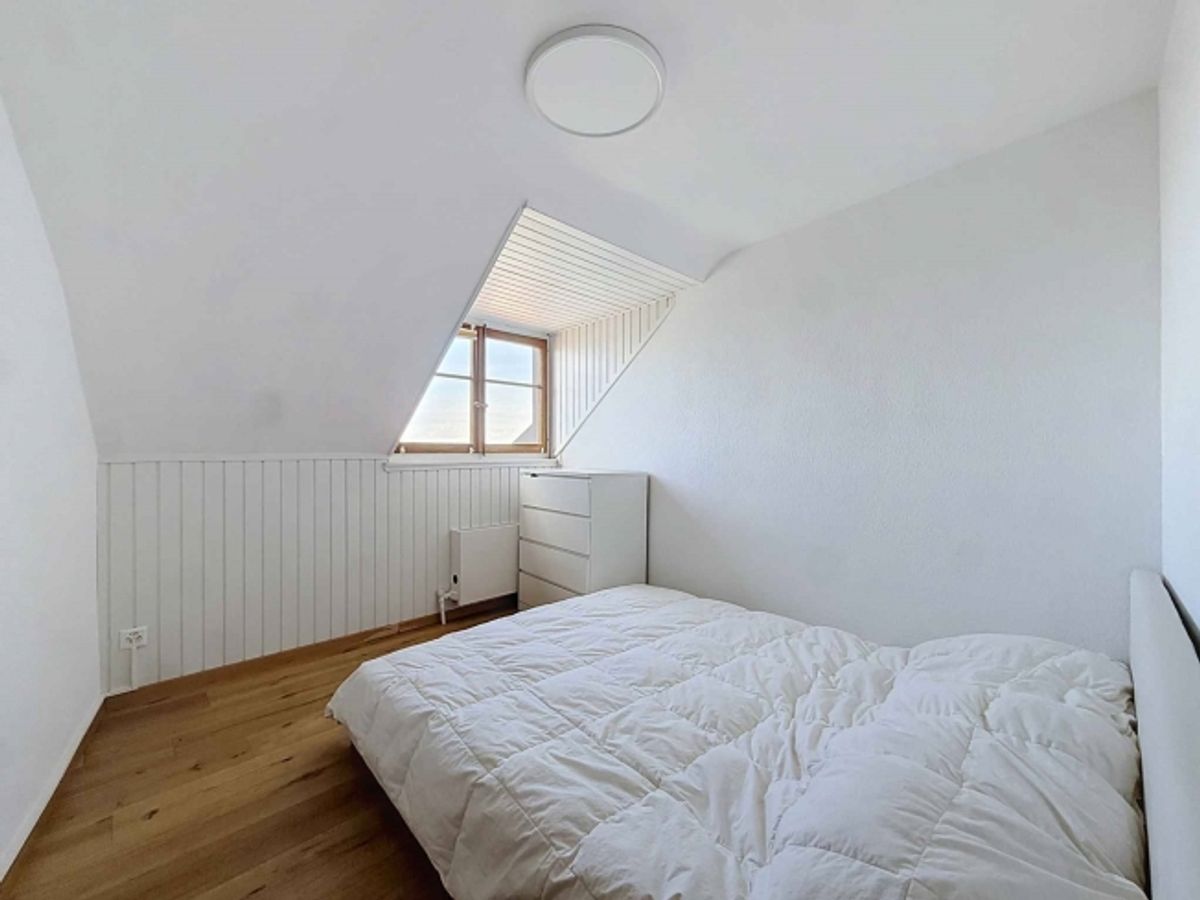 EINE CHARMANTE WOHNUNG AUF DEN GIPFELN VON MONTREUX - 6