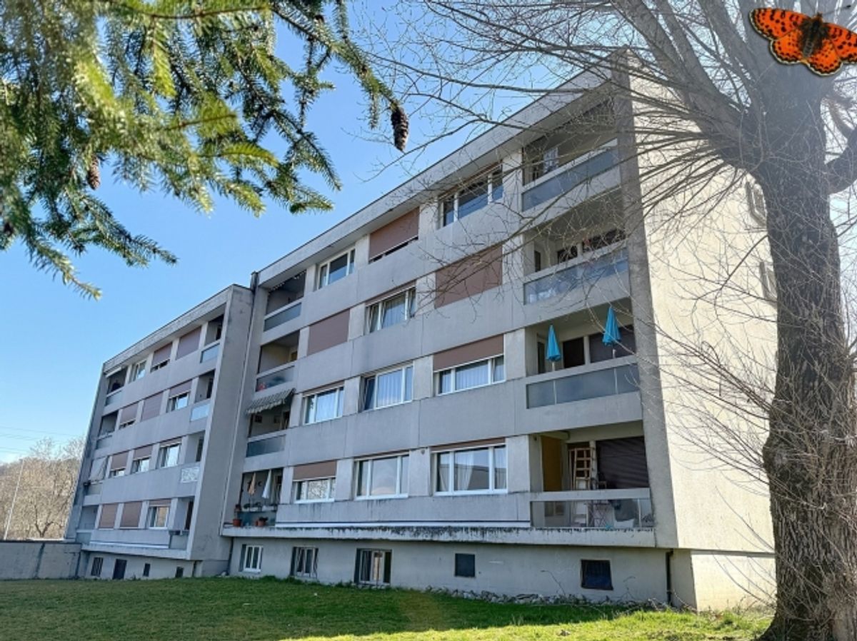 31/2 ZIMMER - Ruhig - 1