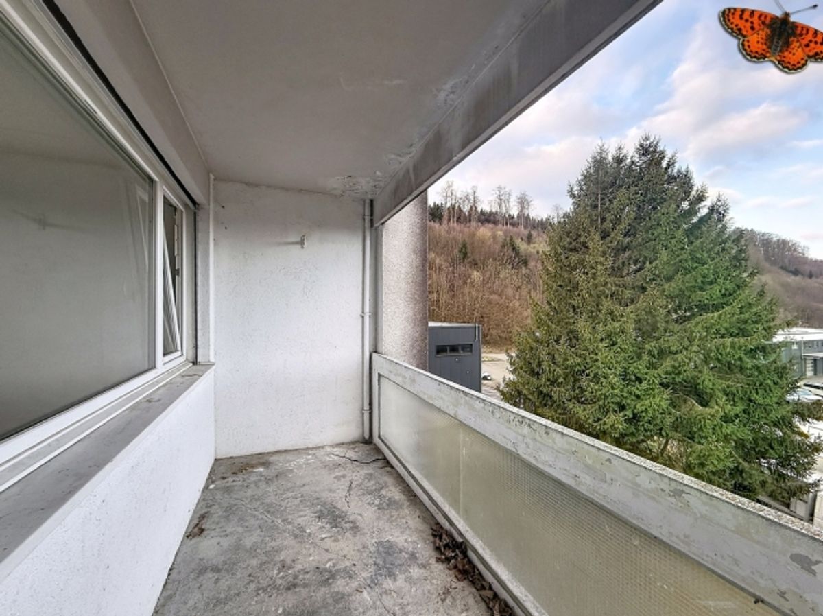 31/2 ZIMMER - Ruhig - 3