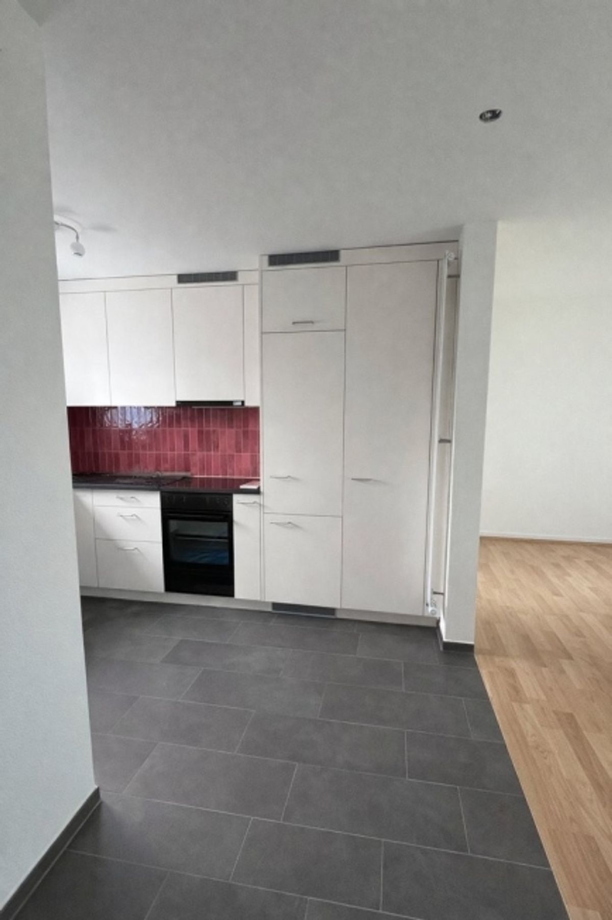 Frisch saniert wohnen an ruhiger und zentraler Lage in Dietikon - 1