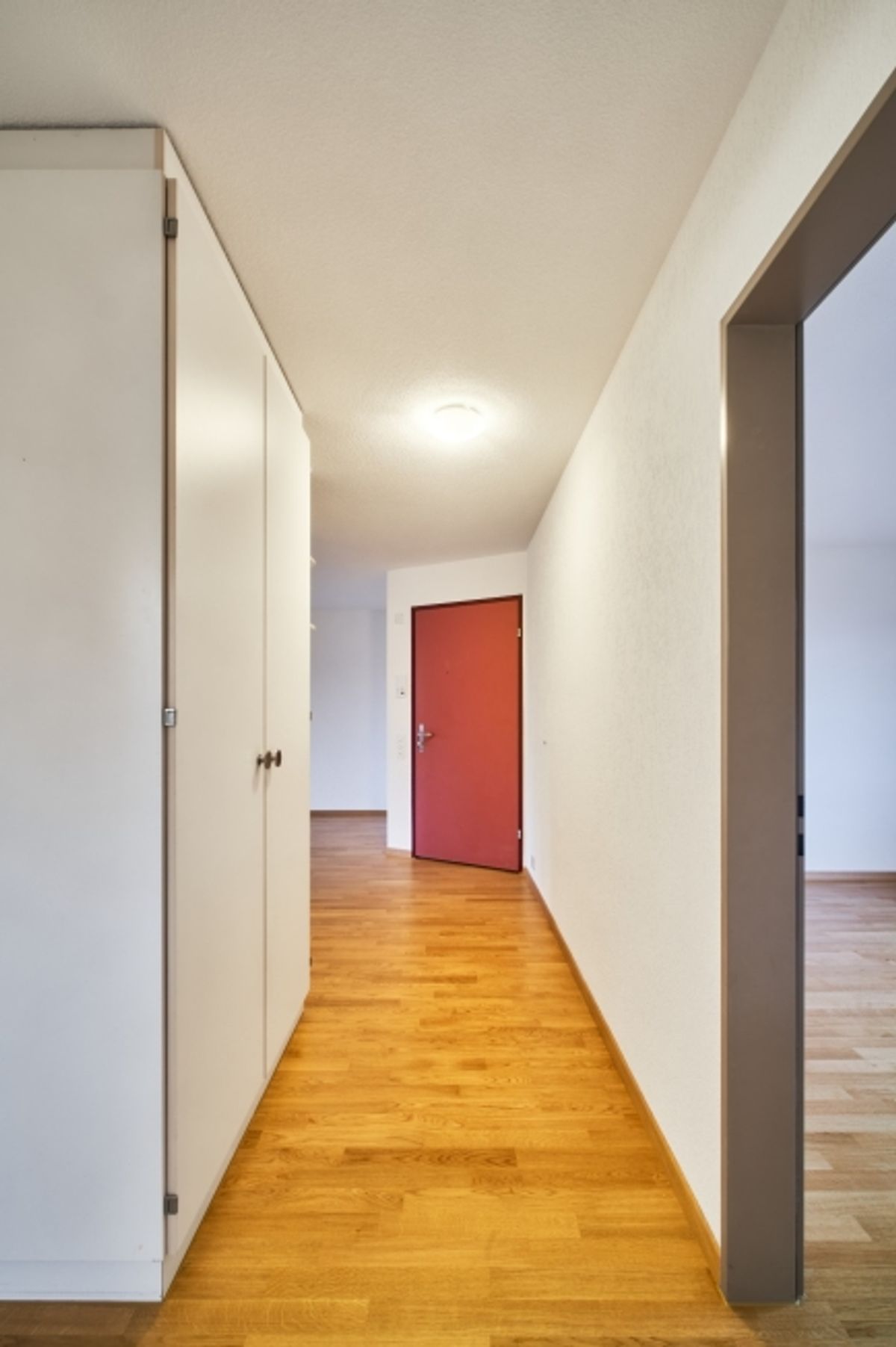 Sonnige 3.5-Zimmer Wohnung auf der Forch - 3
