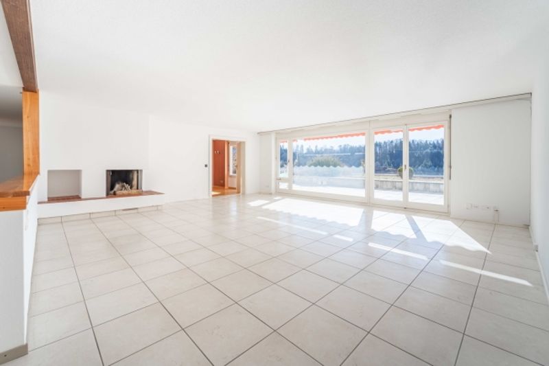 Grosszügige Wohnung mit Terrasse und Panoramablick - 2