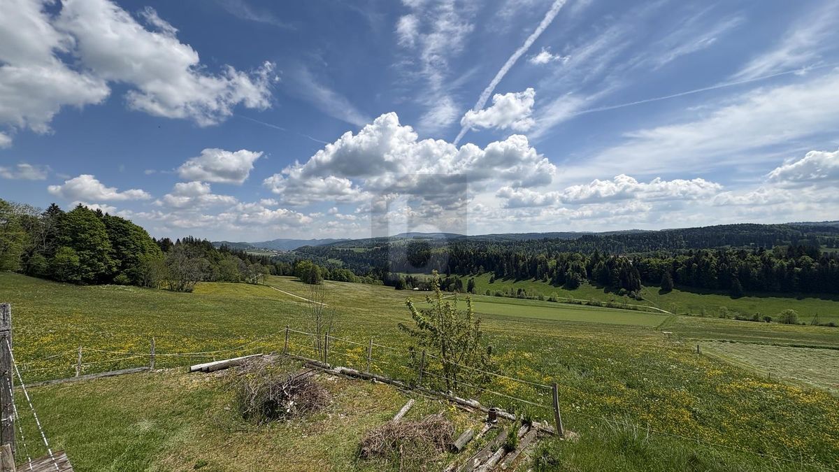 UNE VUE MAGNIFIQUE SUR LA NATURE - 3