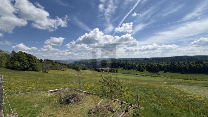 UNE VUE MAGNIFIQUE SUR LA NATURE - 4