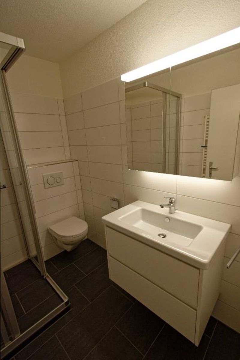 3.5 Zimmer Wohnung - 8