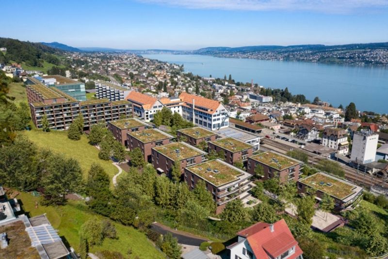 Traumhafte Wohnung in Horgen zu vermieten - 1