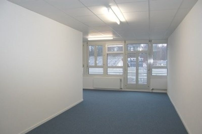 Büro-/Gewerberaum inmitten des Dreispitz-Areals - 3