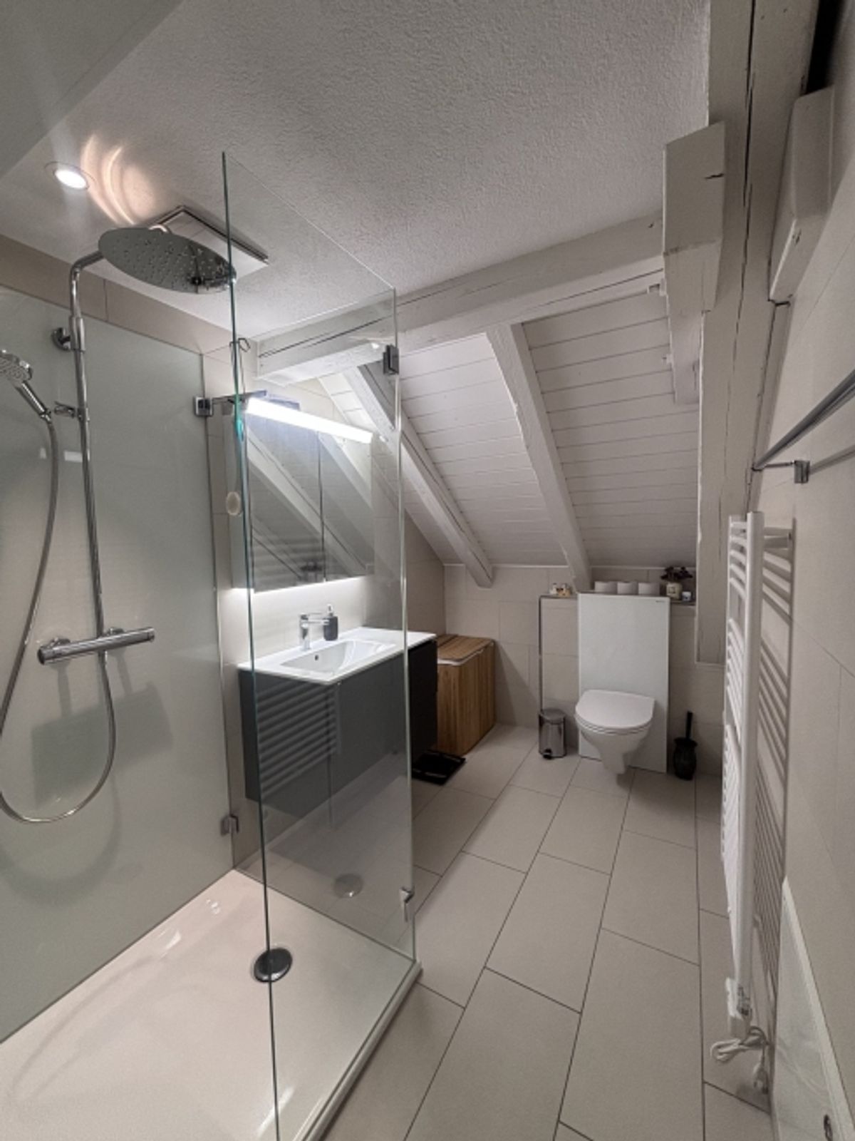 3½ ZIMMER-ATTIKAWOHNUNG IN ZÜRICH - KREIS 3 WIEDIKON, MÖBLIERT, TEMPORÄR - 5
